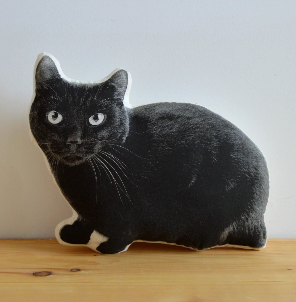 I need this Black Cat Pillow by Broderpress | Hand-Silkscreened